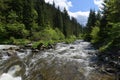 Upstream view of the Somesul Rece river Maguri-Racatau village from Cluj district, Romania, Europe. Royalty Free Stock Photo